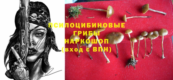 марки lsd Абаза