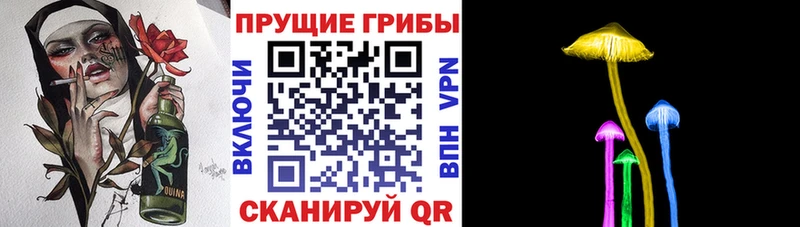 omg ссылки Чекалин Галлюциногенные грибы мухоморы
