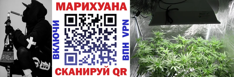 Канабис сатива Чекалин